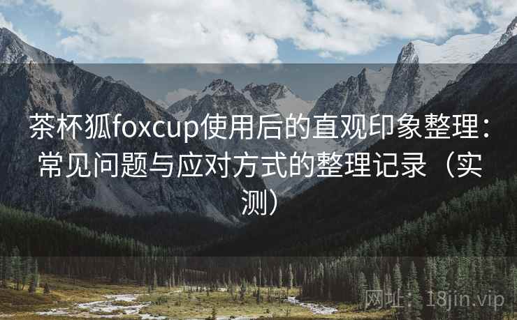 茶杯狐foxcup使用后的直观印象整理：常见问题与应对方式的整理记录（实测）