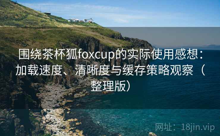 围绕茶杯狐foxcup的实际使用感想：加载速度、清晰度与缓存策略观察（整理版）