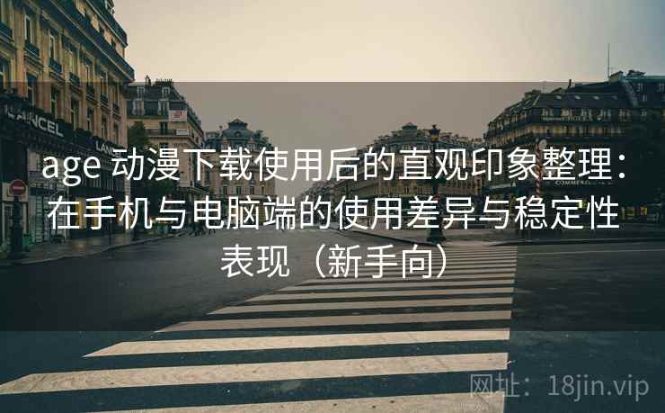 age 动漫下载使用后的直观印象整理：在手机与电脑端的使用差异与稳定性表现（新手向）