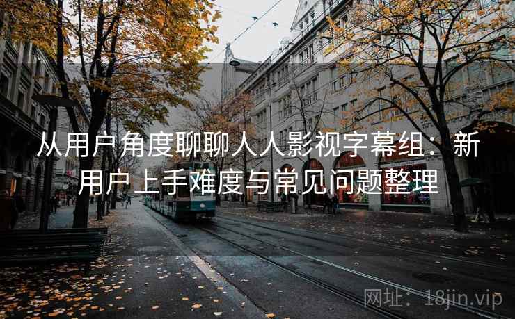 从用户角度聊聊人人影视字幕组：新用户上手难度与常见问题整理