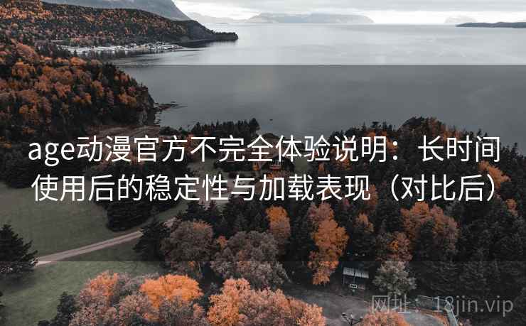 age动漫官方不完全体验说明：长时间使用后的稳定性与加载表现（对比后）